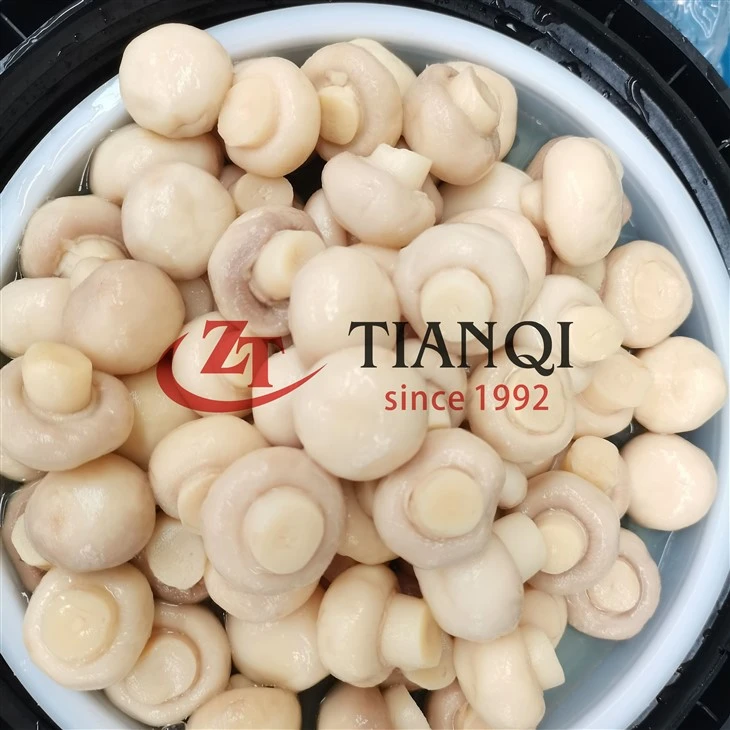 Гриби в бочках в SO2 – гуртовий продаж для харчової промисловості